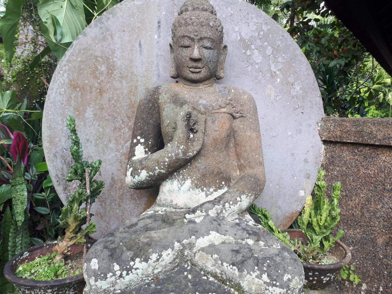 Cendana Resort & Spa By Mahaputra Ubud Eksteriør bilde